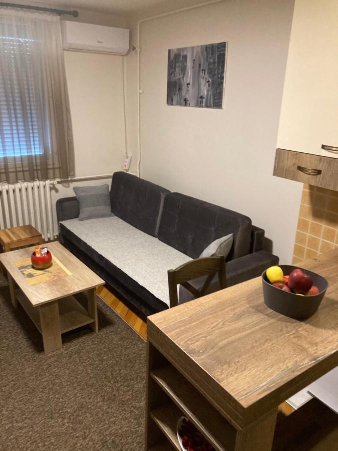 Sofi Apartment Ниш Екстер'єр фото